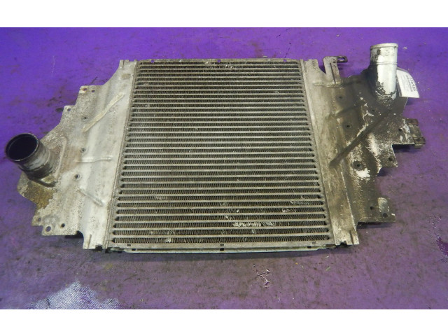 Интеркулер  1256379, 1256379   Renault Clio II 