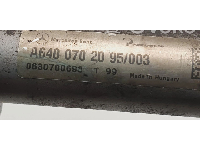 Топливная рампа A6400702095 Mercedes-Benz A W169