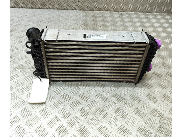 Интеркулер 9824742280, JD1271006520 Jeep Avenger