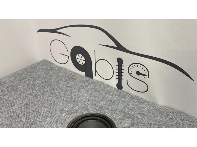 Громкоговоритель (громкоговорители) в передних дверях