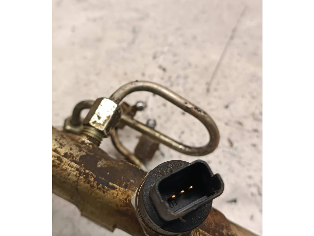 Топливная рампа 0445214019, 00645   Peugeot 406  