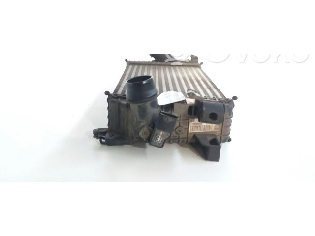 Интеркулер T2935004 Opel Meriva B