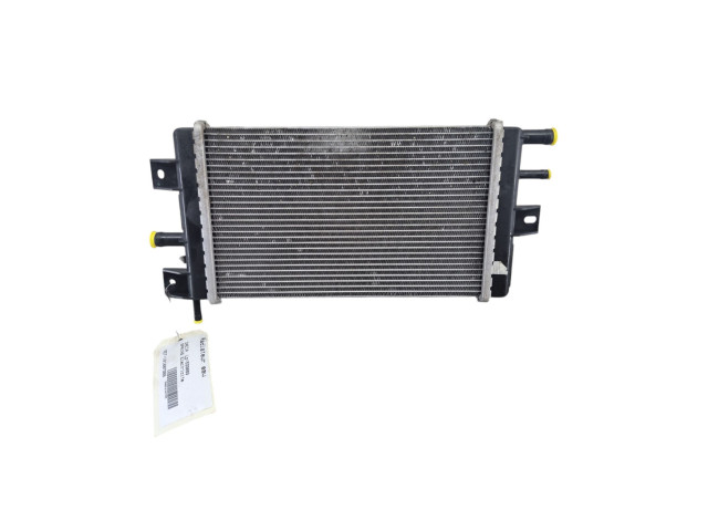 Модуль управления BSM 214109411R   Dacia Spring    