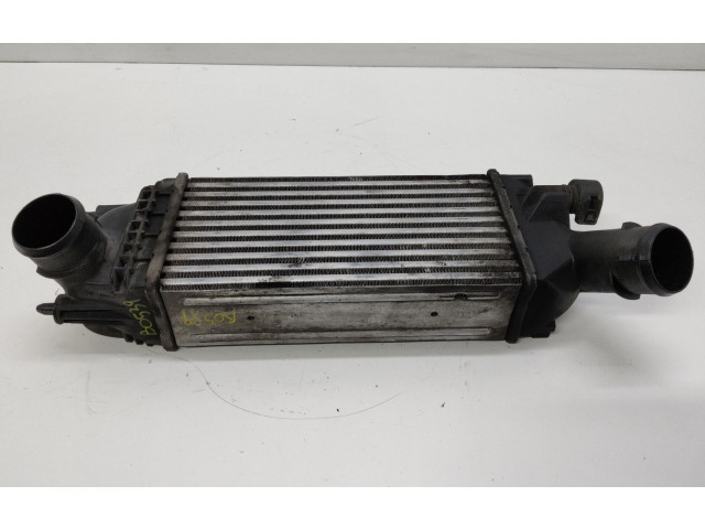 Интеркулер 384K8, 384K8 Citroen C5