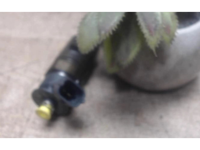 Vstřikovač Citroen C3