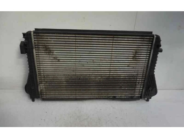 Интеркулер Skoda Octavia Mk2 (1Z)