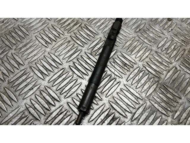 Vstřikovač A6460700987, 0953GM25F34   Mercedes-Benz C W204  pro naftový motor 2.2 646 