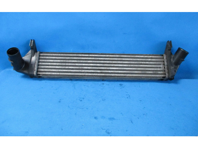 Интеркулер 8200409045 Dacia Logan I