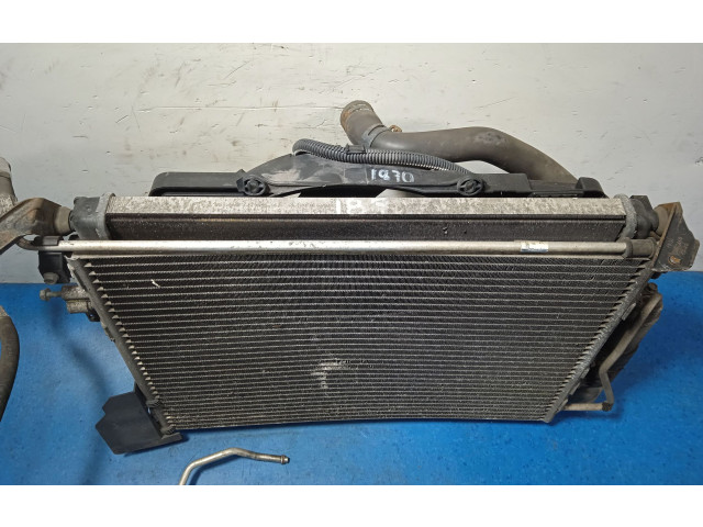 Интеркулер     Renault Clio II 