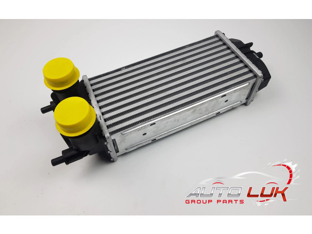 Интеркулер GN11-6K775-AB, 961485 Ford Ecosport