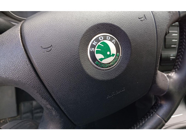 Подушка безопасности двери Skoda Octavia Mk2 (1Z)
