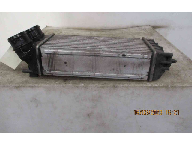 Интеркулер 384N9, 22300619 Citroen DS4