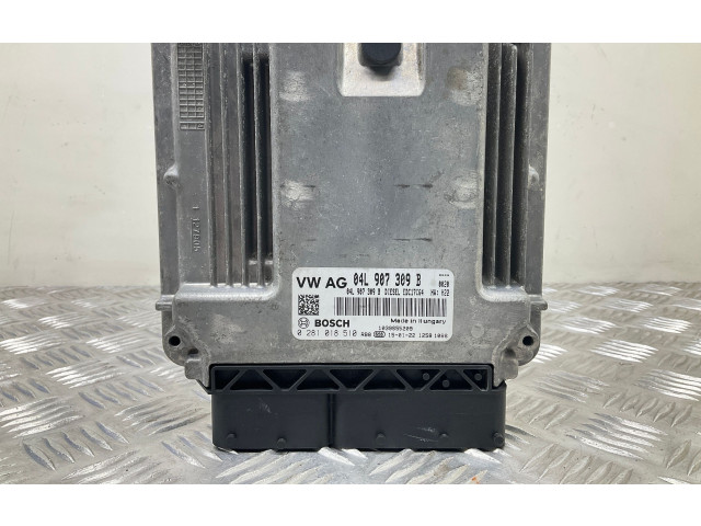 Блок управления двигателем Блок управления 04L907309B   Skoda Octavia Mk3 (5E)