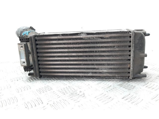 Интеркулер Peugeot Partner