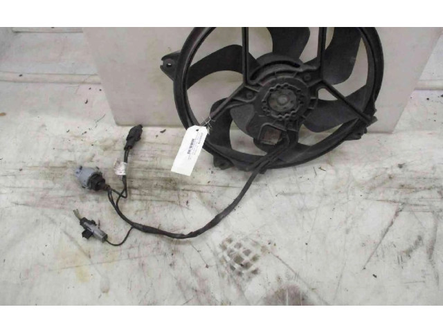 Вентилятор радиатора     1253N5, 1253N5    Citroen C5 