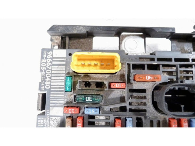 Комплект блоков управления 9666700480   Peugeot Partner