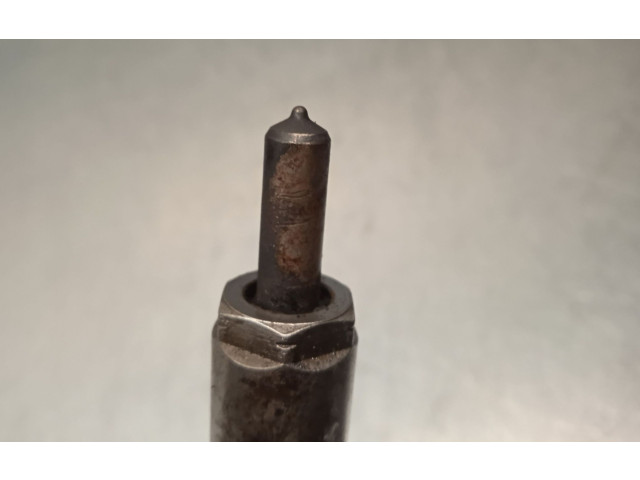 Форсунка 28280576, 0895AF06V51 Tata Indica Vista I D475 1DT 14