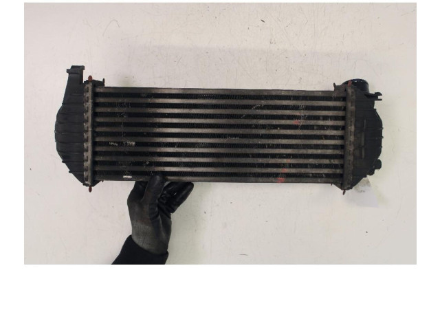 Интеркулер Renault Kangoo II