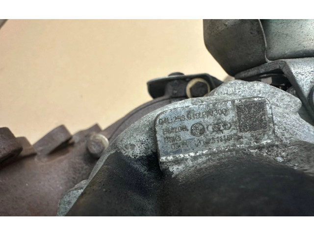 Turbodmychadlo Турбина 04L253019, 04L253019P   Volkswagen Caddy   DFSD