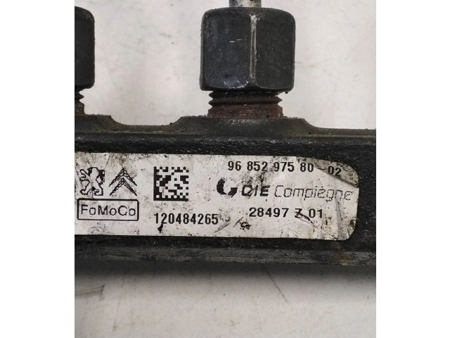 Топливная рампа 9685297580, 28497Z01 Citroen C4 II