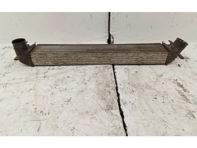 Интеркулер W0225002 Skoda Roomster (5J)