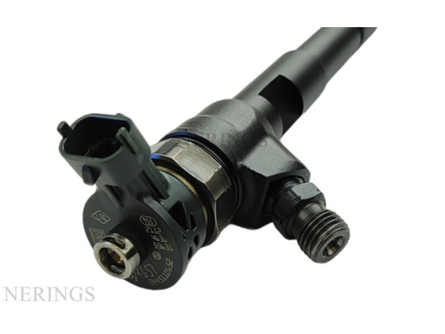 Жиклер (жиклеры) (форсунка (форсунки) 0445110652, 0445110652   Dacia Duster    