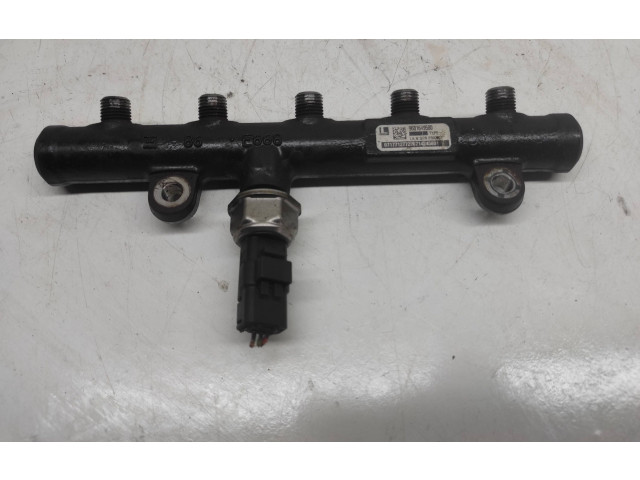 Топливная рампа 9681649580, 32272 Citroen C4 I Picasso