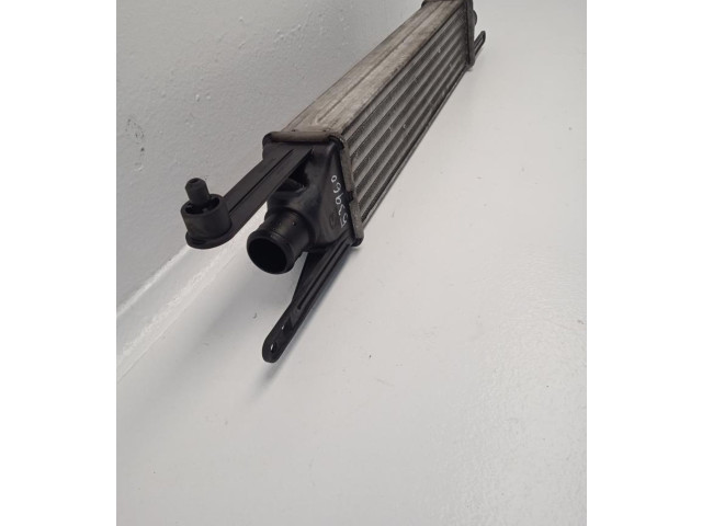 Интеркулер  55700449   Fiat Punto (199) 