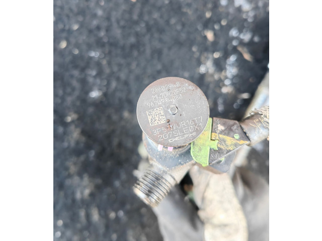 Vstřikovací lišta 9674984080, 28602948   Ford Grand C-MAX     