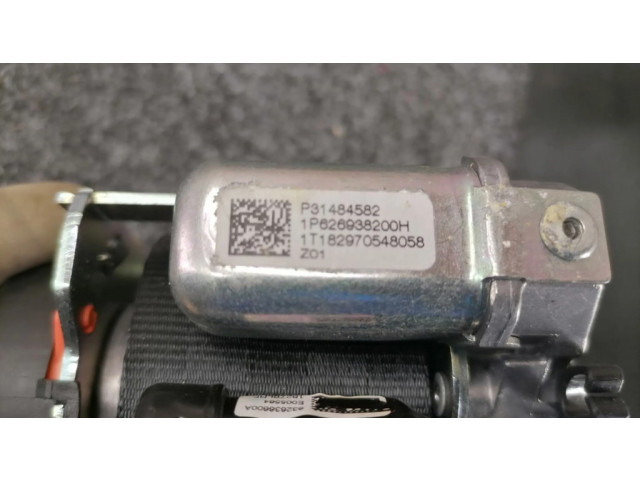 Задний ремень безопасности