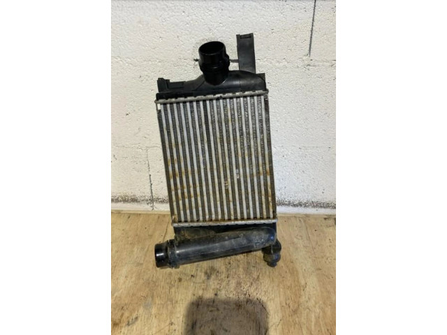 Интеркулер Dacia Duster