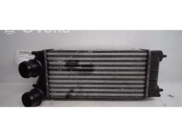 Интеркулер  00000384N9   Citroen DS4 1.6