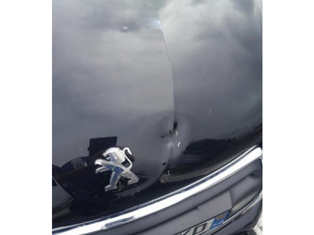 Радио/ проигрыватель CD/DVD / навигация    Peugeot 208    