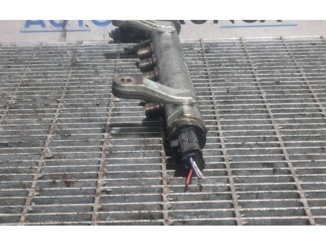 Топливная рампа 9654748880, 14291515 Mitsubishi Outlander для двигателя 4N14