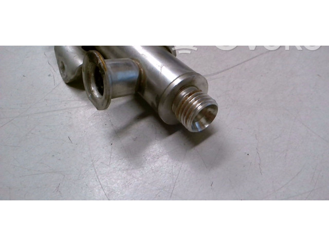 Топливная рампа 04E133320D Skoda Fabia Mk3 (NJ)