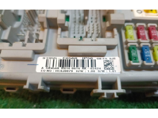 Turbodmychadlo Блок предохранителей 91955C8560 Hyundai i20 (GB IB)