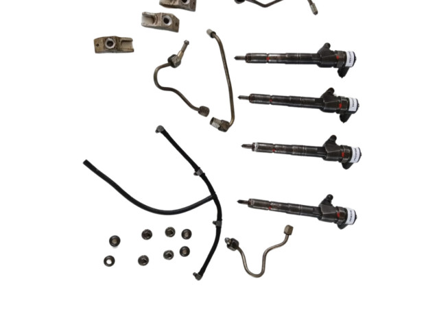 Комплект форсунок 0445110, 0445110 Alfa Romeo 159