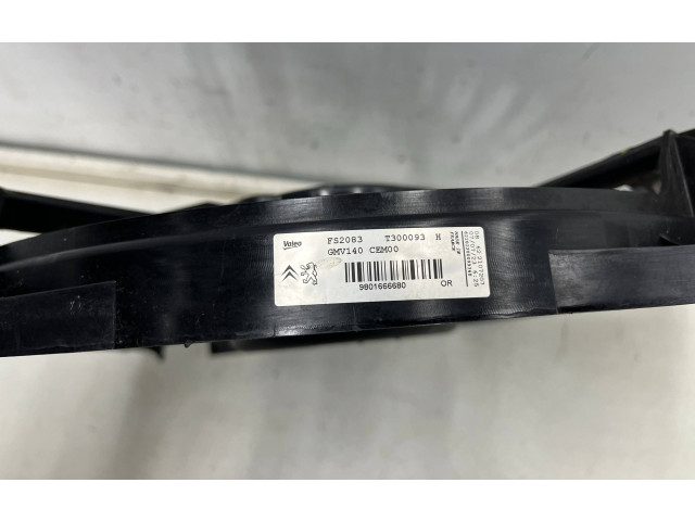 Вентилятор радиатора     9801666680    Citroen C4 Cactus 