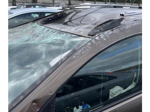 Руль Dacia Logan II  2012 - 2020 года 484305096R      