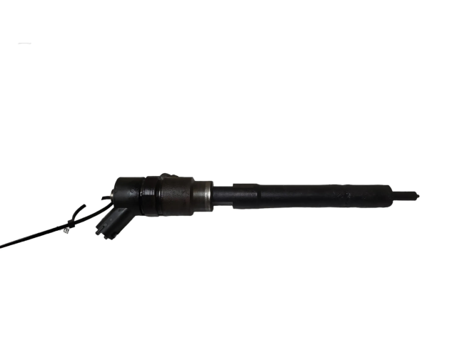 Форсунка 0445110270, 96440397    Chevrolet Captiva для дизельного двигателя  2