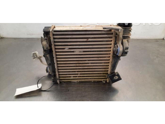 Интеркулер P9675627980 Citroen Berlingo