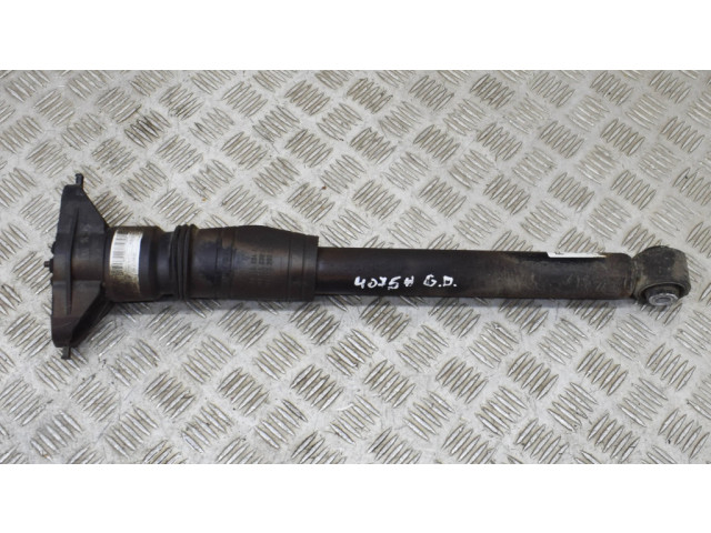 Задний aмортизатор      