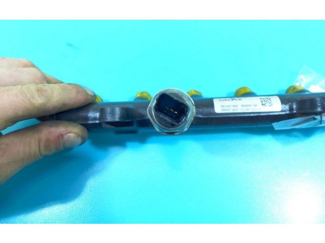 Топливная рампа IMPRK1125704   Citroen C5  