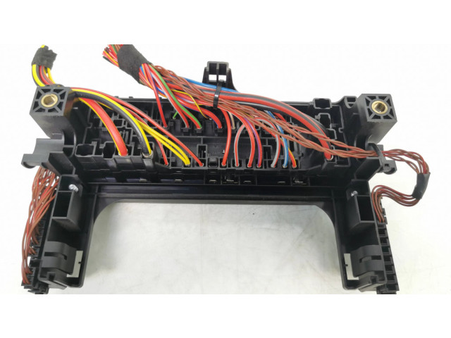 Pojistková skříňka 1695450001, 550000570 Mercedes-Benz A W169 2005