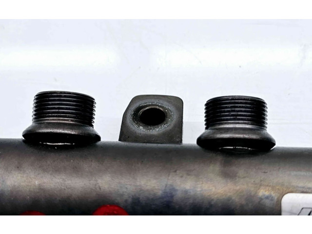 Топливная рампа 175216420R   Renault Megane III  