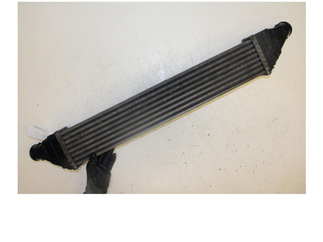 Интеркулер     Fiat Freemont 2.0