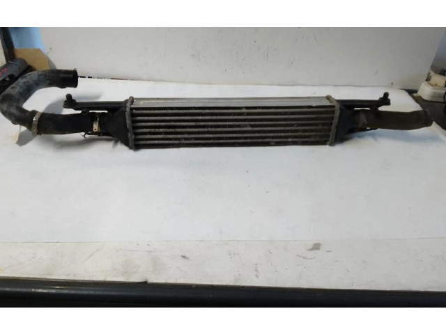 Интеркулер     Fiat Grande Punto 