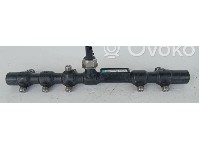 Топливная рампа A6650700495, R9145Z020A   SsangYong Rexton  