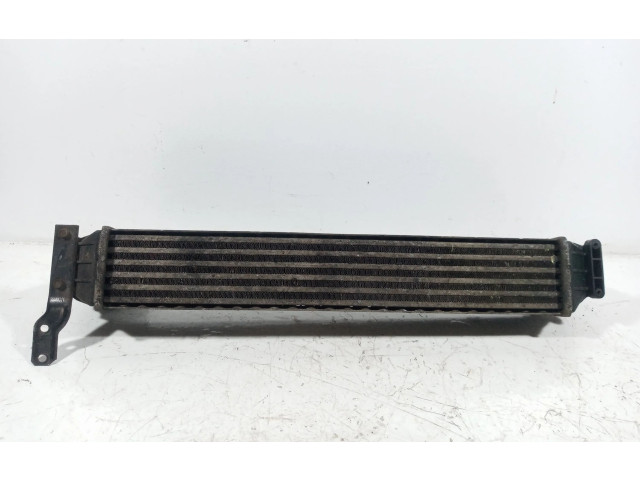 Интеркулер 7M3145805 Seat Alhambra (Mk1)