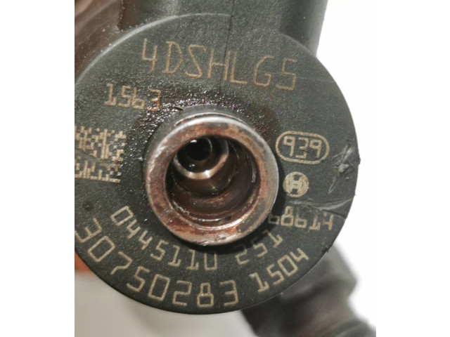 Форсунка 30750283, 0445110251 Volvo S80